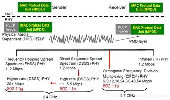 無(wú)線網(wǎng)絡(luò)技術(shù)復(fù)習(xí)筆記 無(wú)線局域網(wǎng)與計(jì)算機(jī)軟件技術(shù)服務(wù)